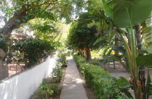 casa giardino - Foto 3