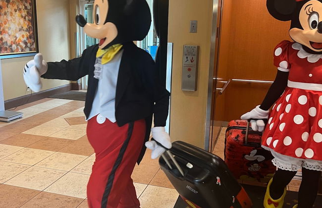 Free Shuttle 2 Queen Disney Area - Foto 60