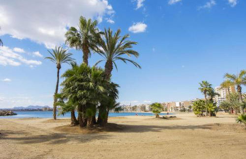 Alojamiento Oasis Playa - Foto 35