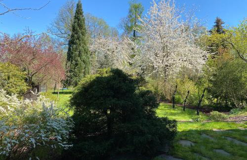 Ferienhaus mit Ruhe Wasser Licht - Photo 25