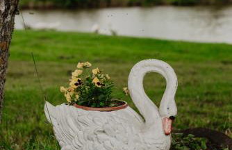 Brzozowa Polana - Foto 48