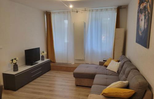 Dumur - centre ville Evian - Foto 2