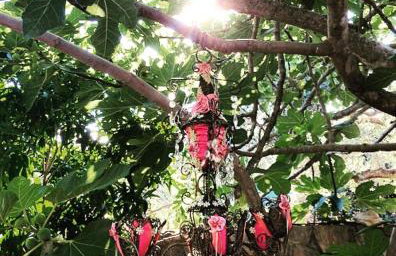 Faros oasis - Foto 58