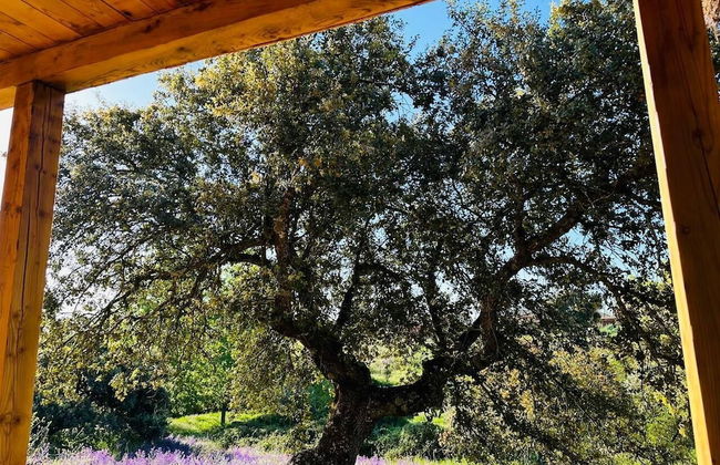 Hamlet's Friends - Foto 50