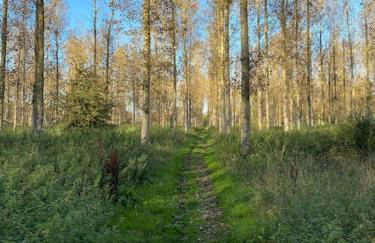 Serafina Cottage - Foto 29