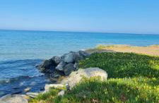 Limiria Studio - Foto 21