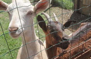 Splendido rustico shabby - Foto 50