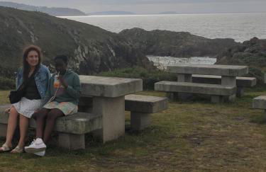 Fonte da Horta - Foto 13