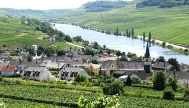 Weingut-Ferienwohnung Heinz Dostert - Foto 3