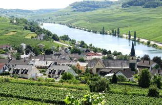 Weingut-Ferienwohnung Heinz Dostert - Foto 3