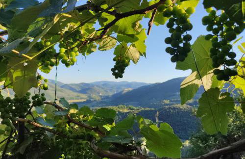 Guesthouse Runcini - Photo 23