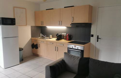 Charmant appartement à 1 minute du lac - Foto 20