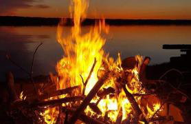 Heron Cottage on Cayuga Lake - Foto 15