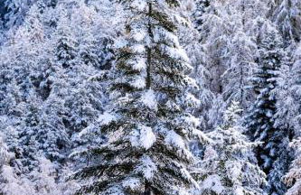 PUY SAINT VINCENT APPARTEMENT T2 BALCON SUPER PANORAMA AVEC PARKING PRIVE COUVERT et PISCINE L'ETE - Foto 1