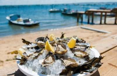 Maison piscine 4 ch Carcans Médoc Bassin Arcachon - Foto 58