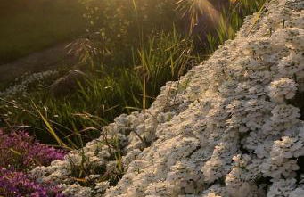 Ferienwohnung Klosterblick - Foto 18