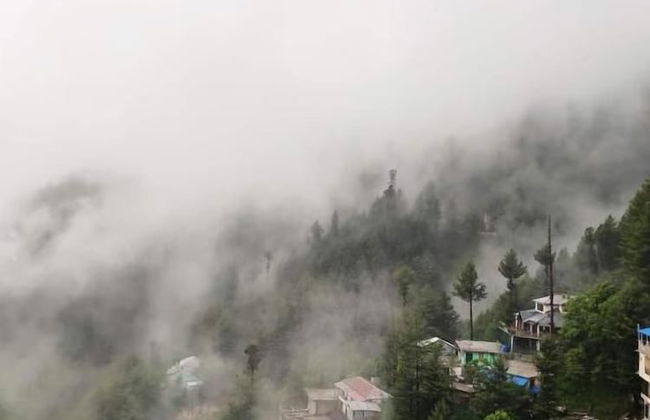 Bellevue Luxury Apartments - Photo 17