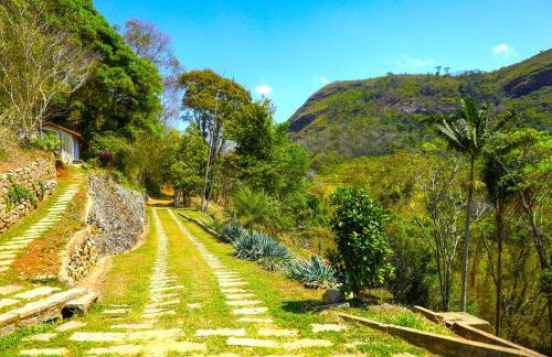 Aurora Homestead - Foto 19