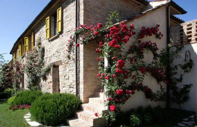 Tenuta Santi Giacomo e Filippo - Foto 118