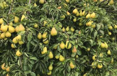 Modern, Stylish lodge with Paddock Views - Foto 24