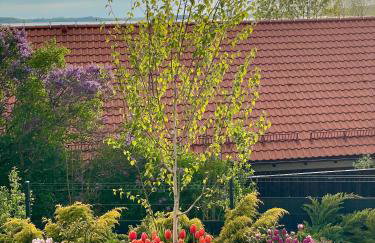 Chata Jakimówka - Foto 57