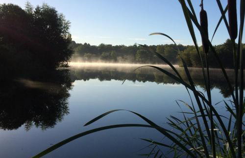 The Courtyard at Lodge Farm - Photo 17
