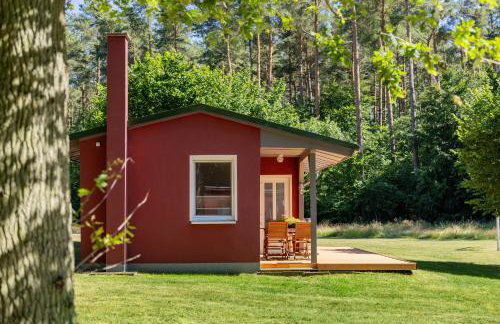 Natururlaub auf Rügen - Erholung Pur! - Photo 5