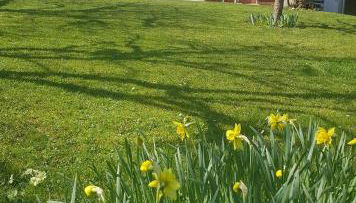 DETENTE NATURE rando, ski , thermes - Foto 2