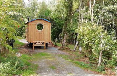 Sapphire forest garden shepherd’s hut - Foto 7