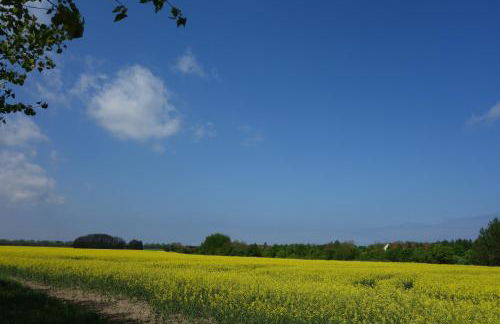 Fewo Mittelmole - Foto 8