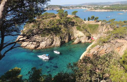 A&A Brothers -The Apartments- - Foto 21