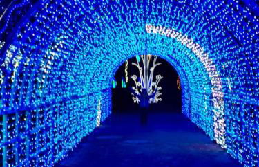 Gaia Pia Home - Foto 9