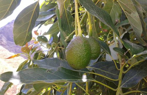 Casa Rural La Tinta - Foto 22