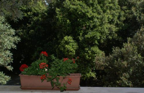 Apartments by the sea Simuni, Pag - 236 - Foto 35