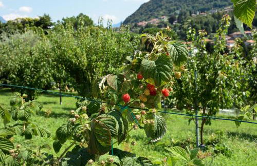 Agriturismo Il Colle - Foto 154