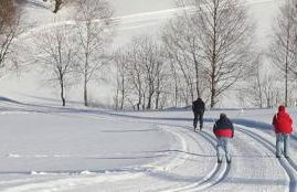 Ferienwohnung Fürst - Foto 27