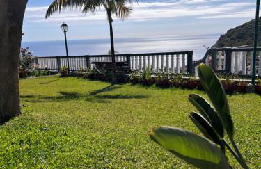 Tropical Garden - Photo 6