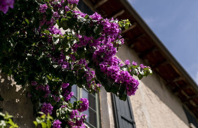 Agriturismo Le Chiusure - Foto 44