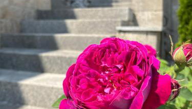 Moderne Ferienwohnung am Wald - Foto 2