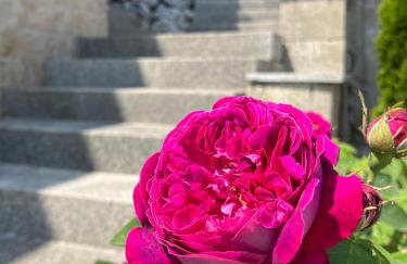 Moderne Ferienwohnung am Wald - Foto 2