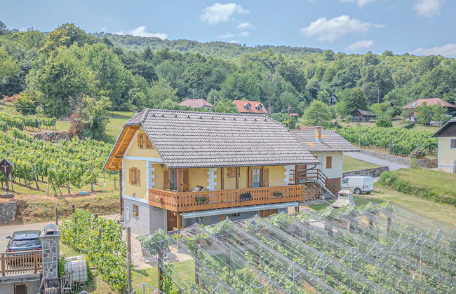 Vineyard Cottage Stepan - Foto 22