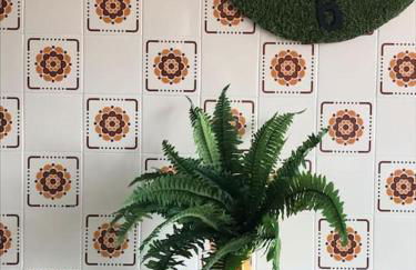 Primero Seixo antiguo - Foto 13