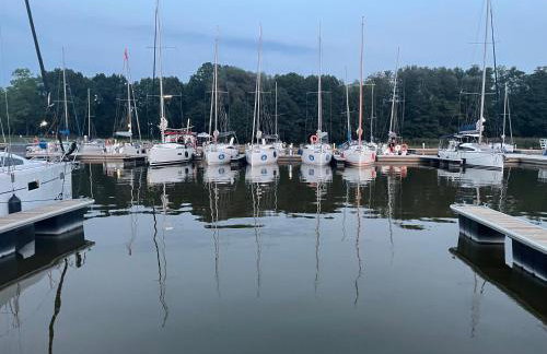 Między Brzozami - Foto 49