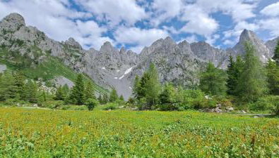 BROWN DOLOMYTE Apartment - Foto 2