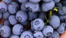 casa vacanza da ghislin - Foto 4