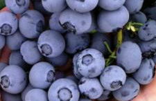 casa vacanza da ghislin - Foto 4