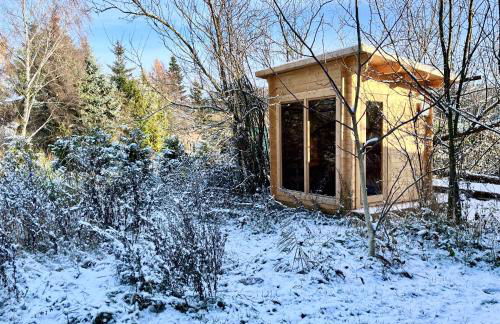 Haus 8 am Grimnitzsee mit Sauna - Photo 10