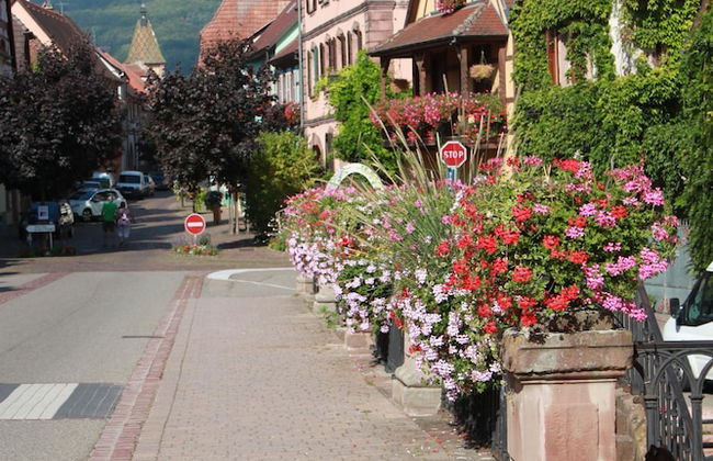 S'harzala Bleu - Foto 69