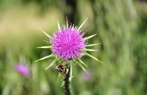 Casa Rural Las Jañonas CC-CR-00219 - Foto 37