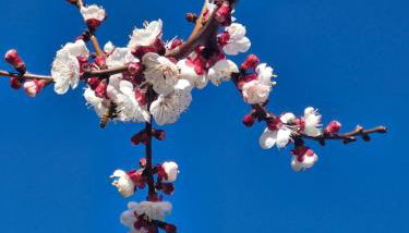 Agriturismo Val della Pieve - Foto 2